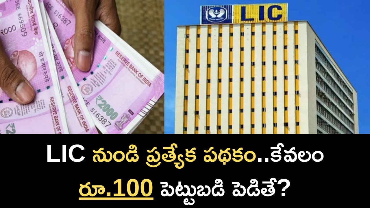 Special scheme from LIC What if you invest just Rs 100