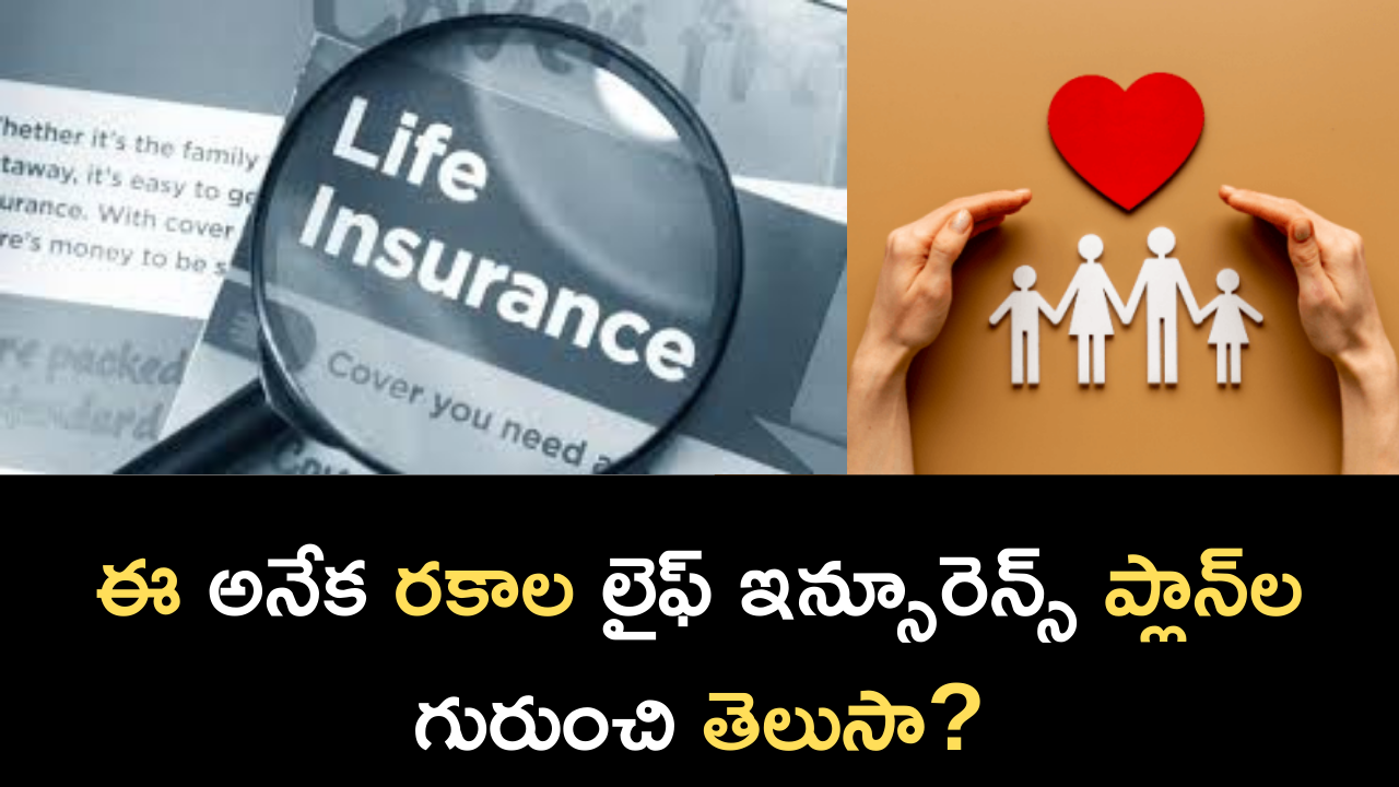 Know about these different types of life insurance plans